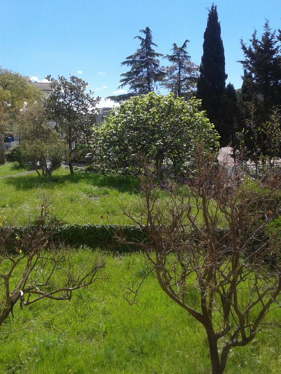 Guesthouse Lautasevic Petrovac 외부 사진