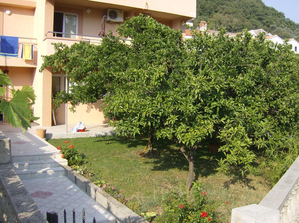 Guesthouse Lautasevic Petrovac 외부 사진