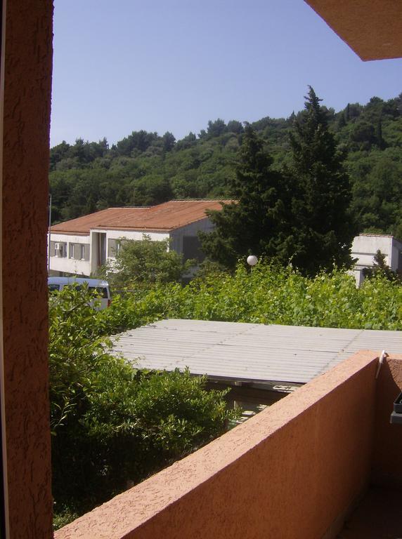 Guesthouse Lautasevic Petrovac 외부 사진